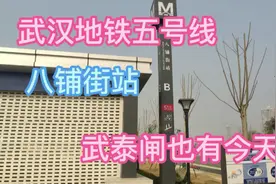 地铁五号线，武昌，八铺街站，武泰闸，离长江不远，乌鸡变凤凰视频封面