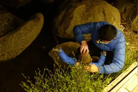 沈阳浑河晚渡公园带孩子玩水，天黑后全是鱼，有人岸边捞到一鱼王视频封面