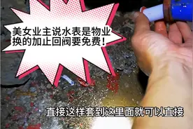 女业主说物业换的水表不用水会自转，很哥用5毛钱的止回阀解决。视频封面