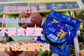 新手学钓鱼，这种成品线组尽量不要买，谁用谁后悔！