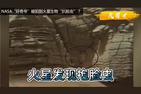 NASA的火星车发现了异形抱脸虫😰视频封面