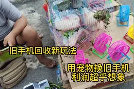 旧手机可换万物，我们拿东西去换旧手机，然后利润居然更可观。视频封面