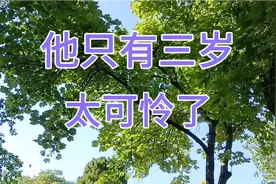 他只有三岁，太可怜了，让父母怎么活呀视频封面
