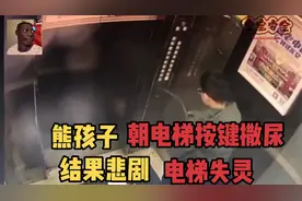 熊孩子朝电梯按键小便，结果悲剧@DOU+小助手