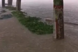 雨一直下个不停，下的终身难忘，来看看主干道的下雨量有多少视频封面