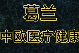 补仓医疗可以！但为什么我不建议你买葛兰的中欧医疗健康？视频封面