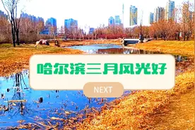 哈尔滨3月风光好视频封面