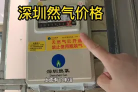 咨询了深圳天然气价格，直接把燕子劝退了，还是用回电磁炉算了视频封面