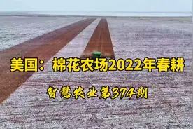 智慧农业374期：美国，棉花农场2022年春耕！新一年播种即将开始视频封面