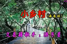 海南歌手，中央军委歌舞团国家一级演员汤子星用海南话唱小乡村！视频封面