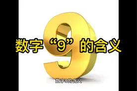 数字“9”的含义视频封面