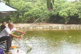 50元钓一天的鱼塘，鱼获可以全部带走，技术好的钓友可以来进货了视频封面