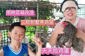 楼顶种菜箱养鸡，废物利用改成第三代养鸡笼，三层别墅还自带花园视频封面