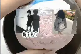 梅子熟了的意思