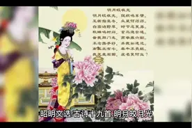 【昭明文选.古诗十九首.明月皎月光】作者：佚名.两汉视频封面