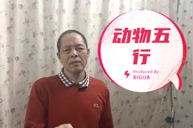 您想知道12生肖的五行是什么吗？视频封面