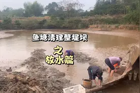 鱼塘清理之前，我们先放水抓鱼