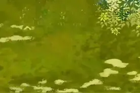 奇葩班级10     奇葩班级抵御入侵者视频封面