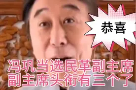 冯巩当选民革副主席，出道拍了几百部作品，而且政界口碑也很好。视频封面