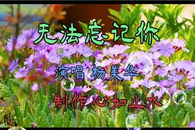 为何相爱的人最终要分离，世俗尘埃阻隔两情相依。唱得情真意切！视频封面