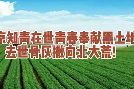 北京知青在世青春奉献黑土地，去世骨灰撒向北大荒!视频封面