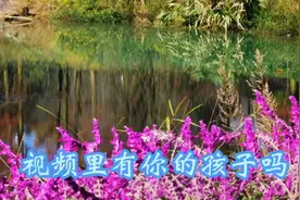 视频里有你的孩子吗 如果有那么他很幸运视频封面