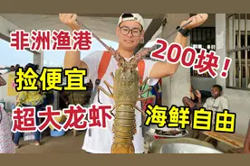 5斤大龙虾只要200块！非洲海鲜市场捡便宜！ 直接拿下做刺身