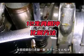 十二生肖相冲的调解方法！视频封面