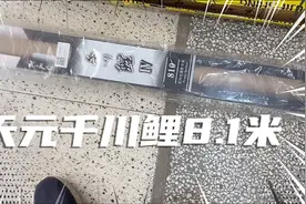 网红火得不能在火的鱼竿 我就用它钓鲢鱼天元千川理8.1米评测