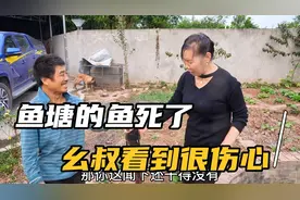 鱼塘的鱼死了，幺叔看到很伤心，妈妈转手做成了两道美食视频封面
