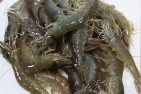 胶东大厨分享“三鲜虾仁饺子”的做法，详细易学美味，果断收藏了视频封面