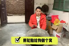 看大黄抖个不停，小何用汽车轮胎给它做个窝，太暖了视频封面
