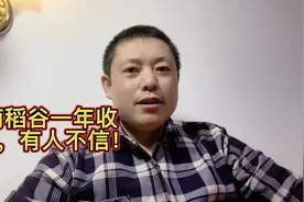 越南一年到底能收几季水稻，已经问到答案了，可能会颠覆你的三观视频封面