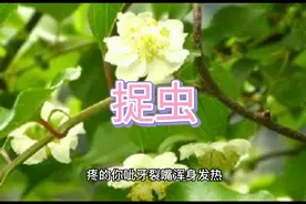 上联:常忆昔日苦    下联:？请君妙对！视频封面