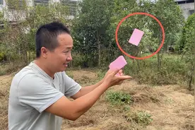 魔术揭秘：扑克牌自动飞出来，简单又神奇，学会骗朋友玩