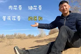 教你辨别：肉苁蓉，锁阳，油苁蓉，管花苁蓉，的真假