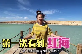 终于看到红海了！花150元出海去埃及的马尔代夫，满眼都是比基尼视频封面