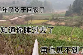 三年了无数次幻想见面的场景，万万没想到再也见不到了，奶奶走了视频封面