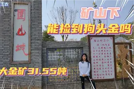 河南桐柏发现特大金矿，矿山下能捡到“金疙瘩”吗？看完有答案了视频封面