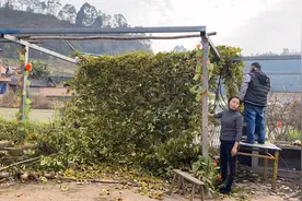 农村40多年老屋拆除，看85岁老父亲是怎样说的视频封面