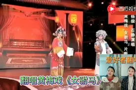 爱好者翻唱黄梅戏《女驸马》，我本闺中一钗裙，经典唱段视频封面