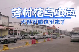 广州芳村花鸟虫鱼大世界搬这里来了，看下里面旺不旺