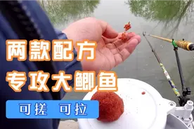 野钓大鲫鱼饵料配方，开饵简单，诱鱼夸张，实战比蓝鲫强视频封面