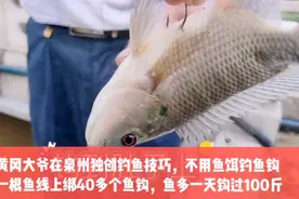湖北黄冈大爷在泉州独创钓鱼技巧，不用鱼饵钩鱼，扔下去就有鱼视频封面