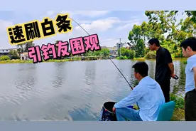 速刷白条这招你得学会，当钓友钓不到鱼的时候，你就是最靓的仔