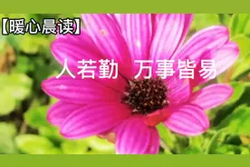 做个勤奋学习的人，永远不会被生活困惑住！视频封面