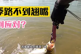 冬天路不到翘嘴如何应对？就一招狂拉很轻松视频封面