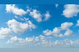 女法医一招破奇案，凶手竟是自己！悬疑