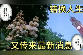 我在说什么？持续关注错换人生28年，又传来了1个最新消息视频封面