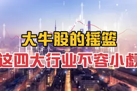大牛股的摇篮，未来十年，这四大行业不容小觑视频封面